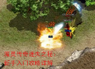 ħ鴫ʧ֮أŹ