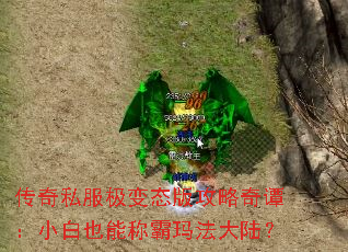 ˽̬湥̷СҲܳư귨½