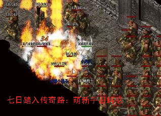 ̤봫·ֲ