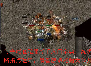 ۷˽ű䣺֮·ָԽװȡؼ󹫿
