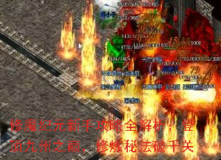 ħԪֹȫǶۣ֮طǧ