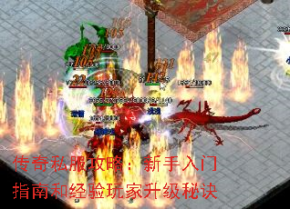 ˽ԣָϺ;ؾ