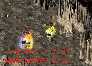 ˽ԣָϺ;ؾ