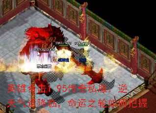Ӣۺϻ1.95˽˽٣֮ΰ
