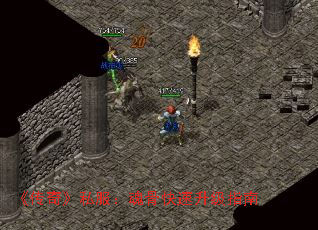 桷˽ǿָ