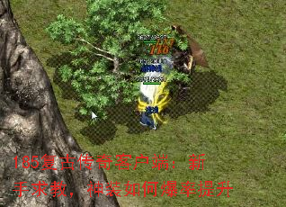 185Ŵͻˣ̣װα