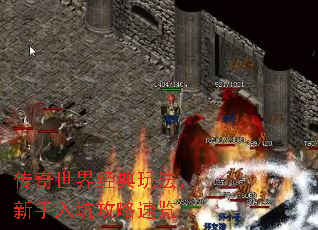 羭淨ӹ
