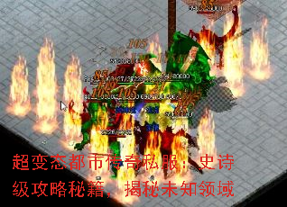 ̬д˽ʷʫؼδ֪