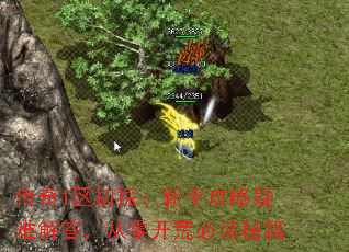 1ֹ̽ѽ𣬴㿪ıضؼ