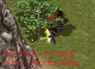 1ֹ̽ѽ𣬴㿪ıضؼ
