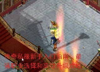 ˽ָϣǿְҵѡ͸Ч