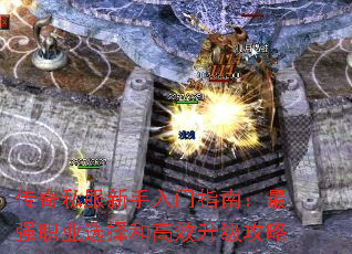 ˽ָϣǿְҵѡ͸Ч