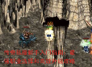 ˽ָϣǿְҵѡ͸Ч