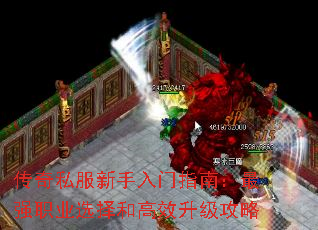 ˽ָϣǿְҵѡ͸Ч