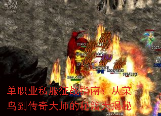 ְҵ˽սָϣӲ񵽴ʦؼ