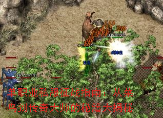 ְҵ˽սָϣӲ񵽴ʦؼ