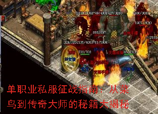 ְҵ˽սָϣӲ񵽴ʦؼ