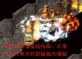 ְҵ˽սָϣӲ񵽴ʦؼ