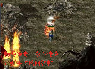 δ棬·ֹʴ