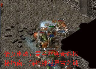 ٻŮĻ꣺ָ̽ϣ챦֮
