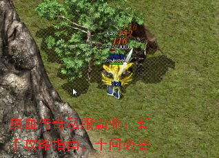 Ѫ˽ҵָֹϣʮʱش