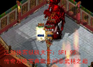 ݺ£SF1.95湥Աʶ֮