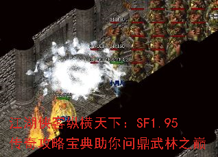 ݺ£SF1.95湥Աʶ֮