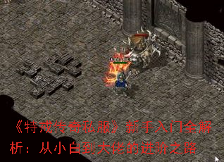 ؽ䴫˽ȫС׵еĽ֮·