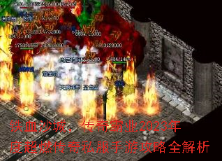 Ѫɳǣҵ2023ȳȼ˽ιȫ