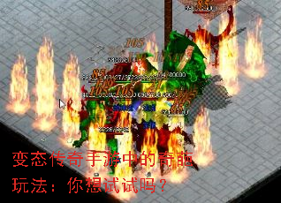 ̬е淨