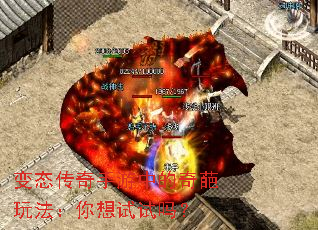 ̬е淨