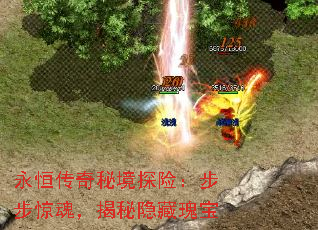 㴫ؾ̽գ꣬ع屦