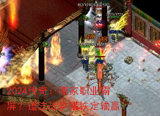2024棺ļְҵսӮ