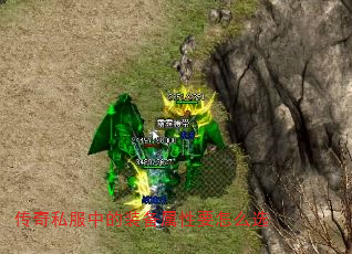 ˽еװҪôѡ