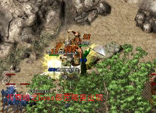 氵֮boss