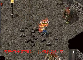 ʿǰοٻ۲Ƹ
