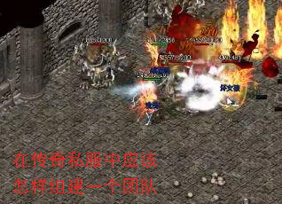 ڴ˽Ӧ齨һŶ