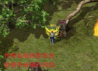 ˽ʦͽϵͳܹЩ