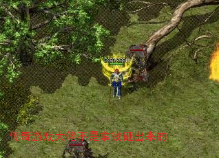 ϷвǮҳ