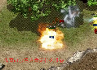 sfɳͿҪʲô׼