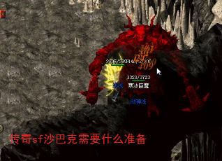 sfɳͿҪʲô׼