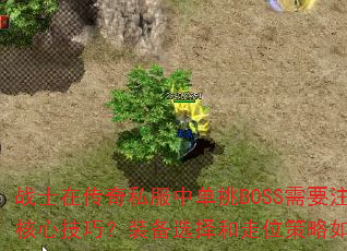 սʿڴ˽еBOSSҪעЩļɣװѡλδ䣿