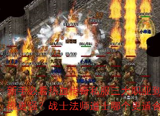 ֱؿѪ˽ְҵѡ˭ǿսʿʦʿĸʺ㣿