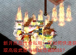 ¿Ѫ˽һοٻȡ߼սBOSS