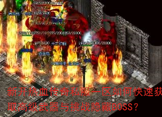 ¿Ѫ˽һοٻȡ߼սBOSS