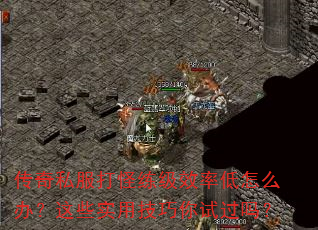 ˽Чʵô죿ЩʵüԹ