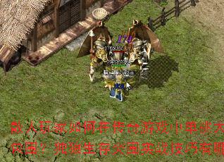 ɢڴϷелΧͻΧʵսЩ