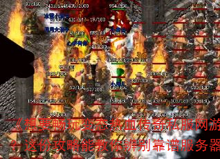 Ҫ̬Ѫ˽ȴ±ӣݹܽ׷𣿡