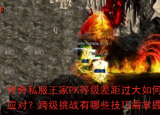 ˽PKȼӦԣ缶սЩգ