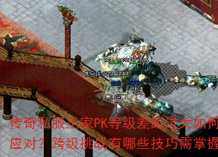 ˽PKȼӦԣ缶սЩգ